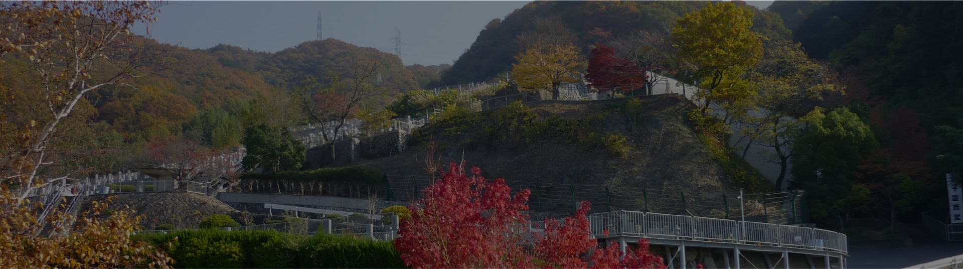 霊園について